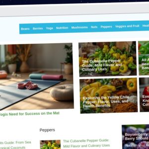 Publish Guest Post on fitforthesoul.com