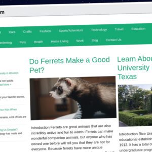 Publish Guest Post on openwebportal.com