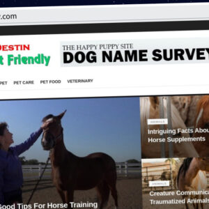 Publish Guest Post on destin-petfriendly.com