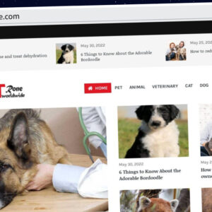 Publish Guest Post on petroneworldwide.com
