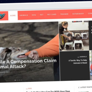 Publish Guest Post on reddogbetty.com