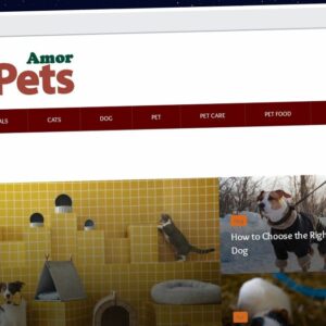 Publish Guest Post on amor4pets.com