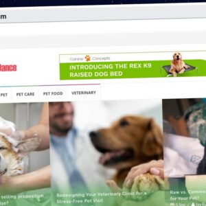 Publish Guest Post on dogpatchdance.com