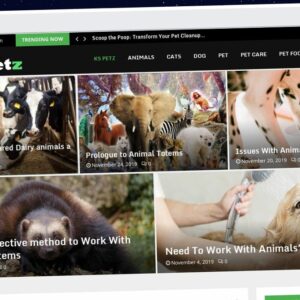Publish Guest Post on kspetz.com