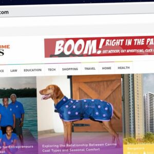 Publish Guest Post on todayprimetimes.com
