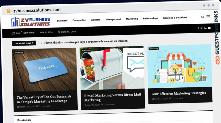 Publish Guest Post on zvbusinesssolutions.com