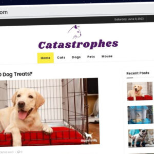 Publish Guest Post on catcatastrophes.com