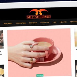 Publish Guest Post on megaupload.info