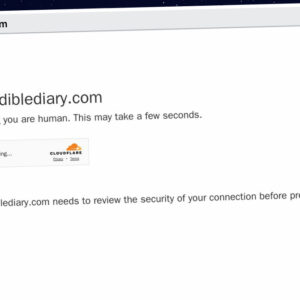 Publish Guest Post on incrediblediary.com
