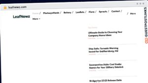 Publish Guest Post on leafnewz.com