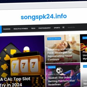 Publish Guest Post on songspk24.info