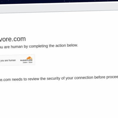 Publish Guest Post on stylevore.com