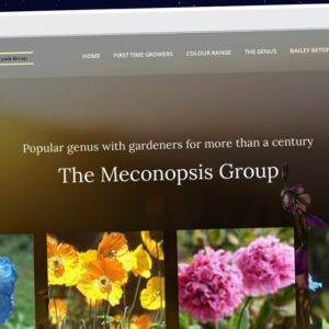 Publish Guest Post on meconopsis.org