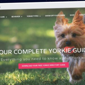 Publish Guest Post on yorkiepassion.com
