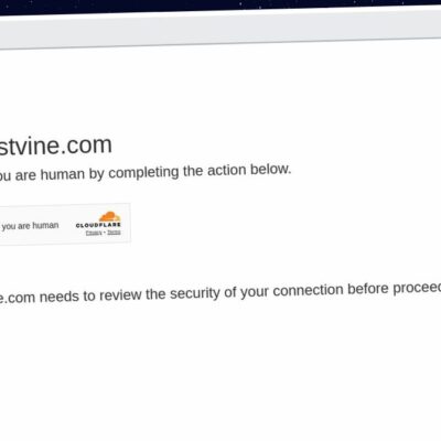 Publish Guest Post on zestvine.com