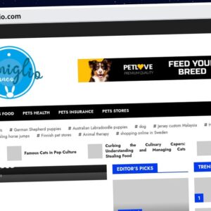 Publish Guest Post on tanadelbianconiglio.com