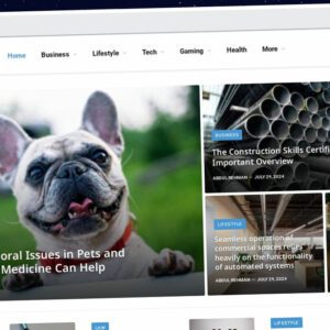 Publish Guest Post on newssnaut.com