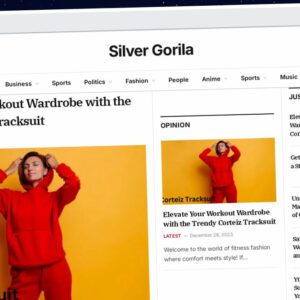 Publish Guest Post on silvergorila.com
