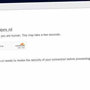 Publish Guest Post on fem-fem.nl
