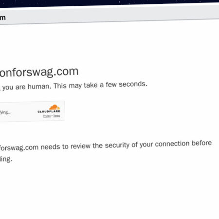 Publish Guest Post on fashionforswag.com