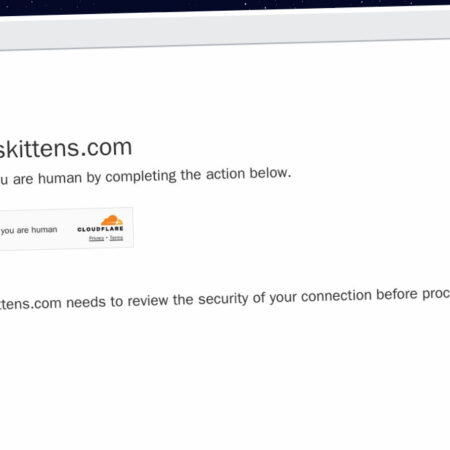 Publish Guest Post on gratiskittens.com