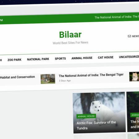 Publish Guest Post on bilaar.com