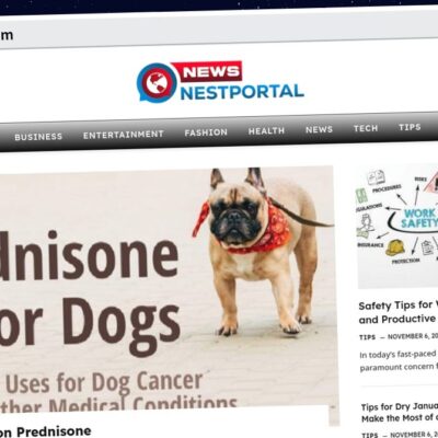 Publish Guest Post on newsnestportal.com