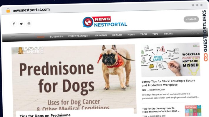 Publish Guest Post on newsnestportal.com