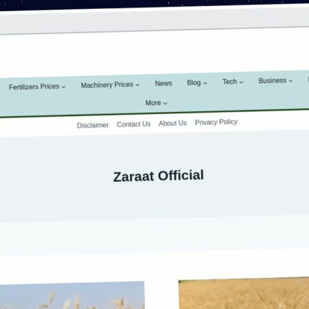 Publish Guest Post on zaraatofficial.com