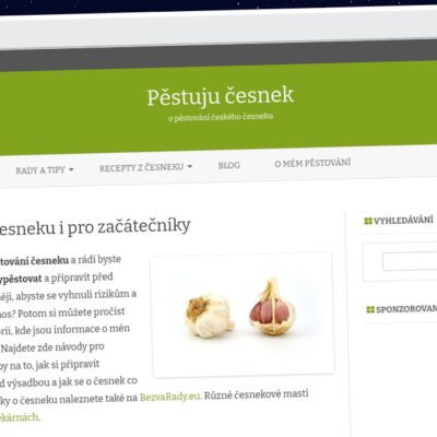 Publish Guest Post on pestujucesnek.cz