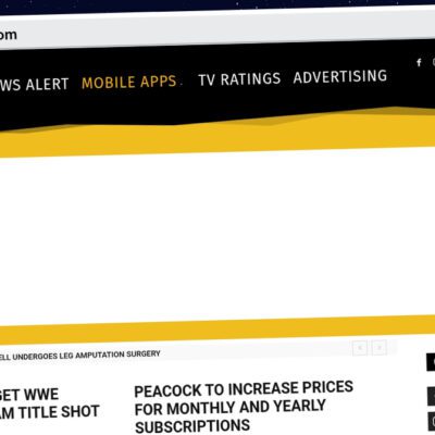 Publish Guest Post on wrestling-online.com